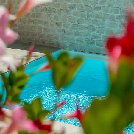 Mediterranea - Seaview, Pool & Garden בארי