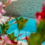 Mediterranea - Seaview, Pool & Garden Bari