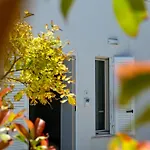 Mediterranea - Seaview, Pool & Garden Lejlighed *